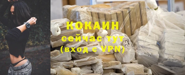 стаф Баксан