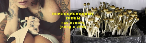 стаф Баксан