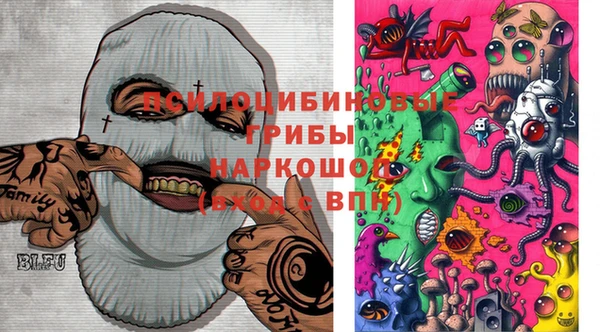 стаф Баксан