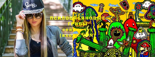 стаф Баксан