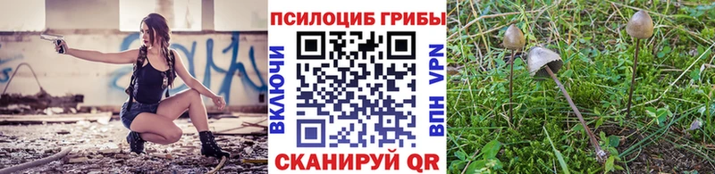 Галлюциногенные грибы прущие грибы  наркота  Бугульма 